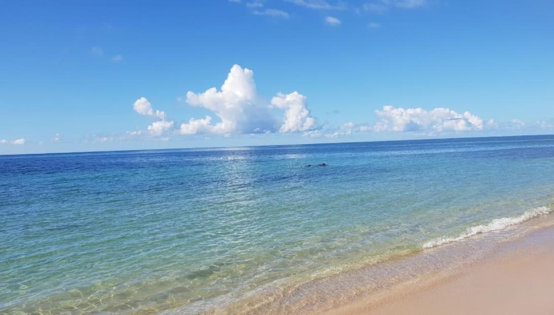 Appartement Paradisiaque Entre Hammamet Et 나불 외부 사진